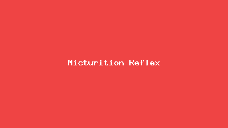 Micturition Reflex