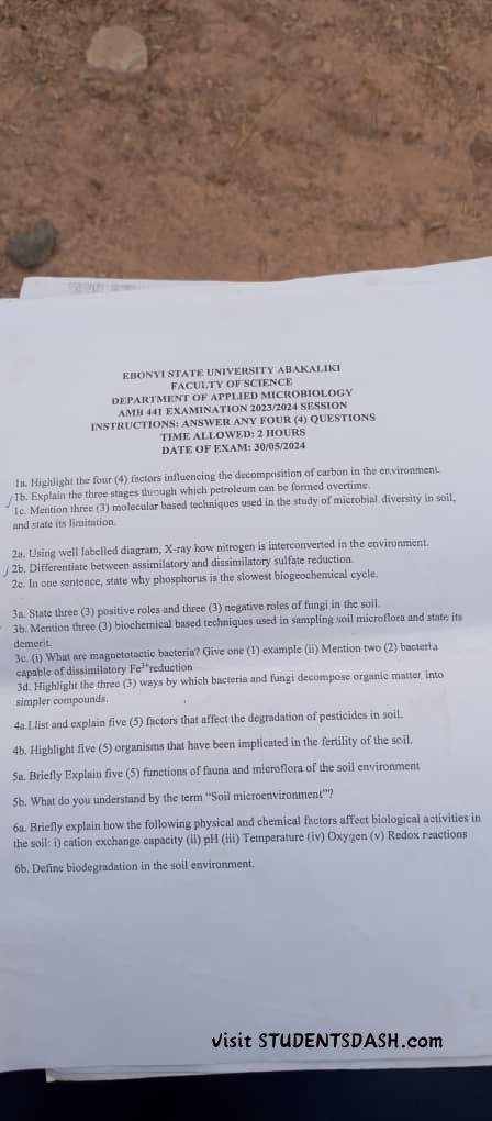 AMB 441 Past Questions and Answers