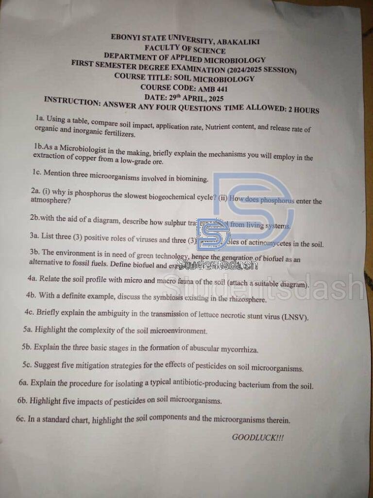 AMB 441 Past Questions and Answers 2025