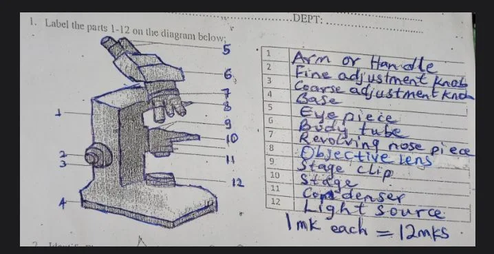 BIO 107 (BIO 191) Past Questions and Answers