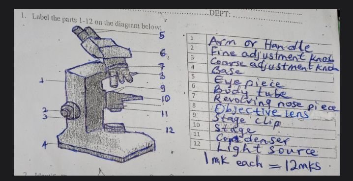 BIO 108 Past Questions and Answers